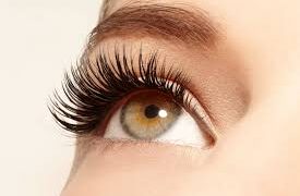 Lash Bar